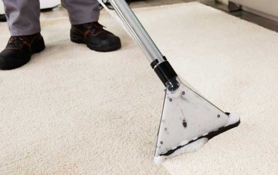 Carpet and Upholstery Steam Cleaning