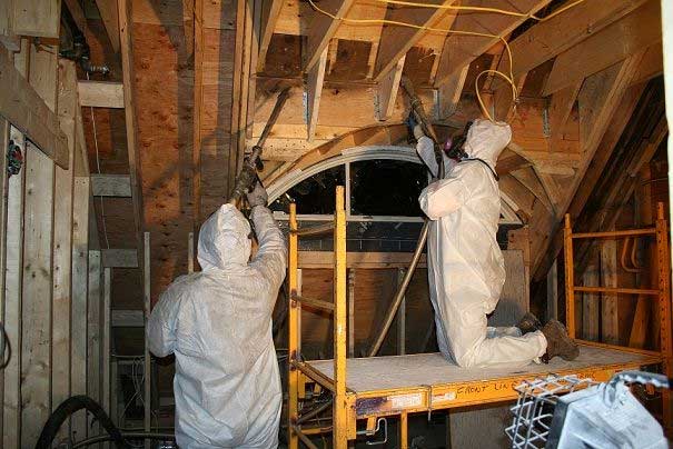 Mould Remediation